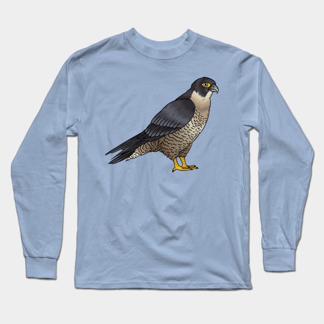 Peregrine falcon bird cartoon illustration